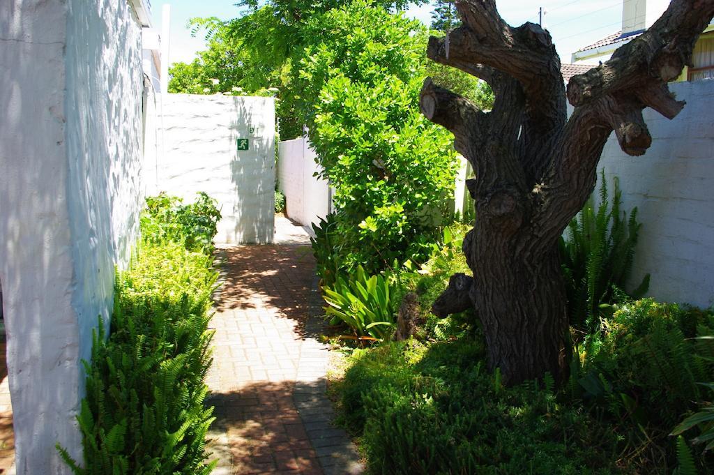 Aqua Marine Guest House Port Elizabeth Bagian luar foto