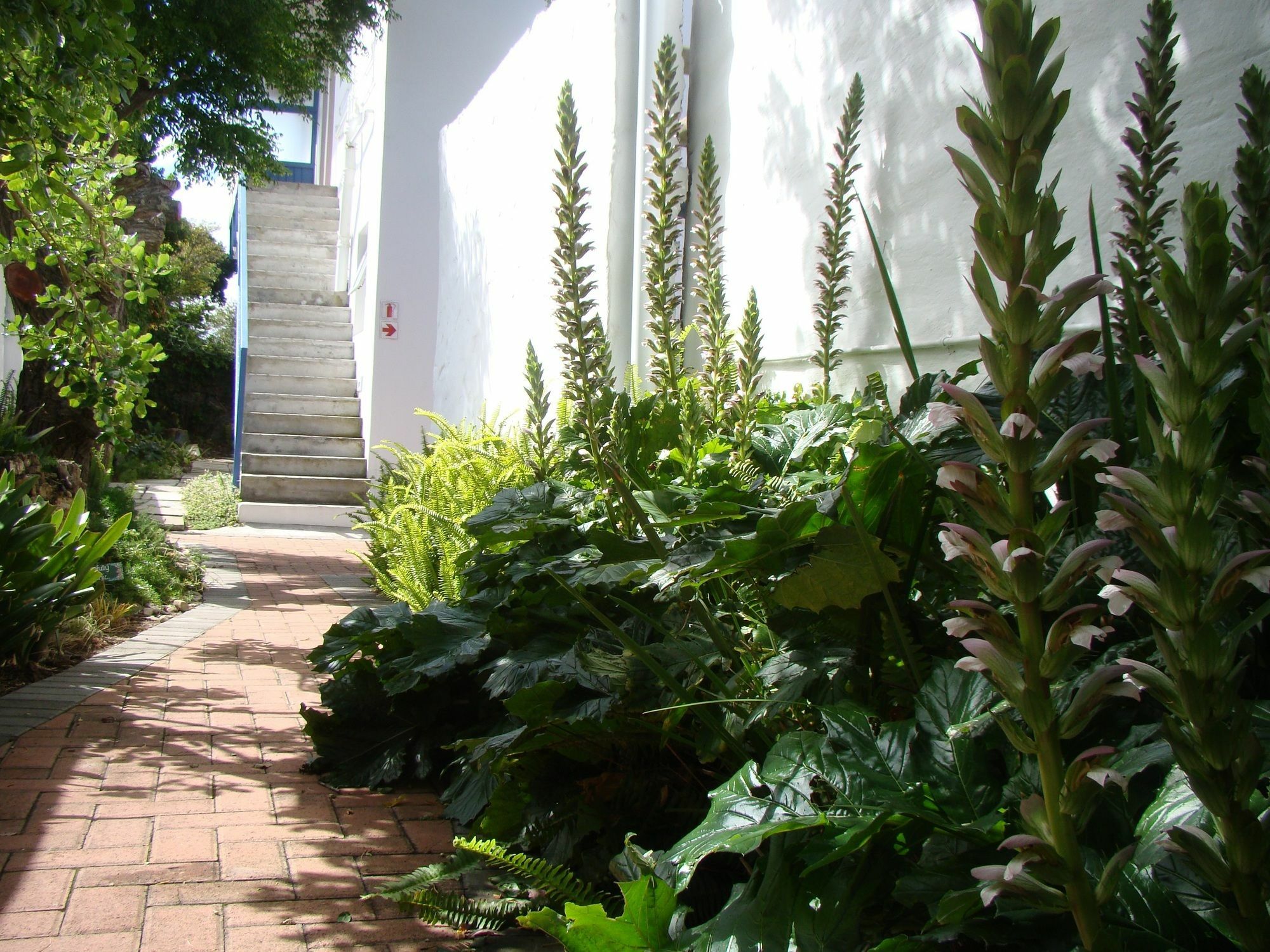 Aqua Marine Guest House Port Elizabeth Bagian luar foto
